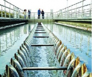 污水廠進水營養不均衡怎么辦