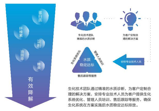 有機物去除生物強化服務(wù)