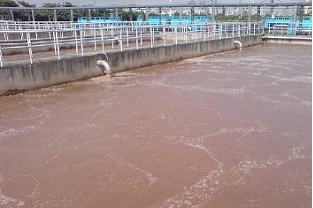 氨氮在生化過程中的去除