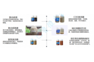 線路板廢水處理之生化脫氮