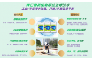 什么是氨氮激活菌，有什么作用